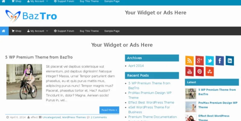 Wrock Metro Pro WordPress Theme insertcart