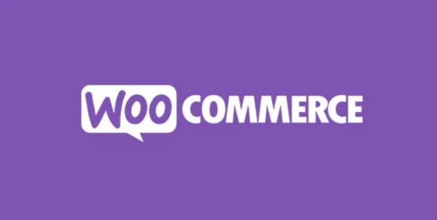 XML for Google Merchant Center by WpDesk 1.9.10