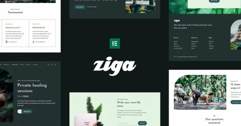 Ziga – Healer & Life Coach Elementor Template